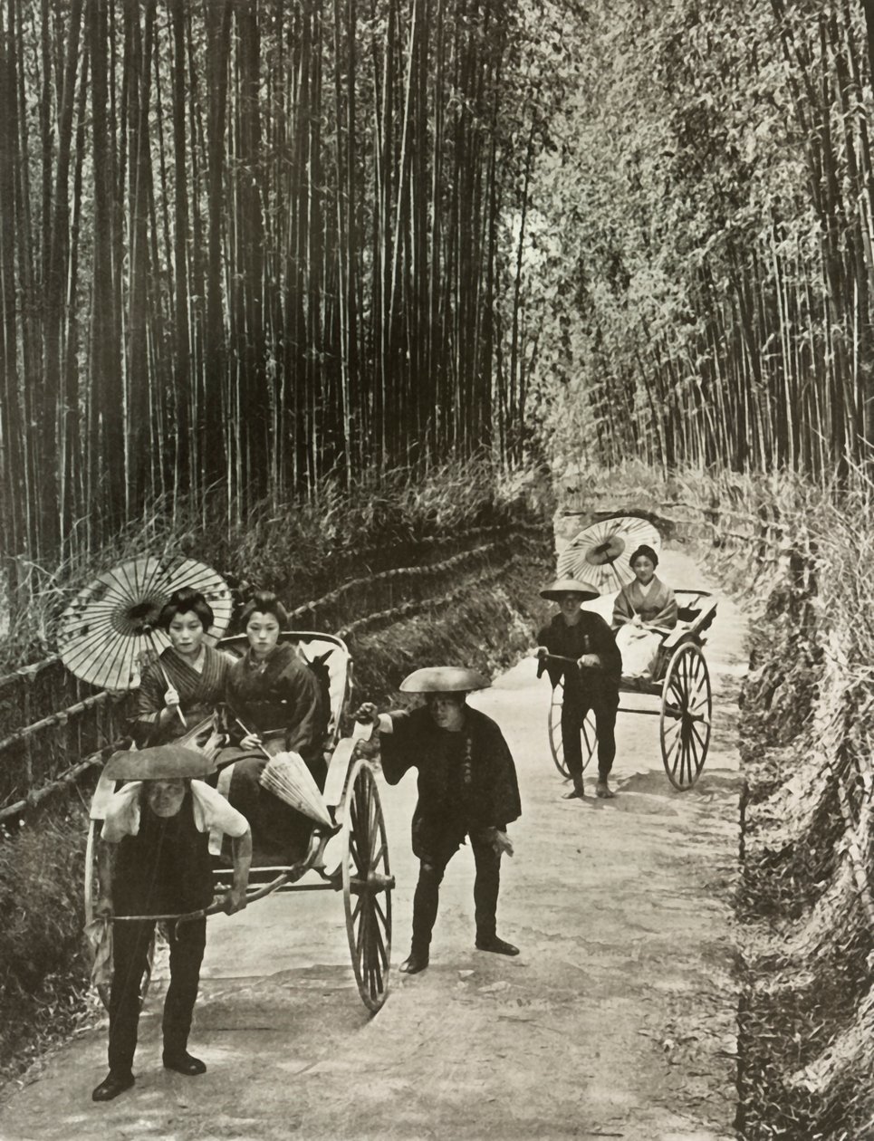 Aleja Bambusowa w Kioto, 1910. autorstwa Herbert Ponting
