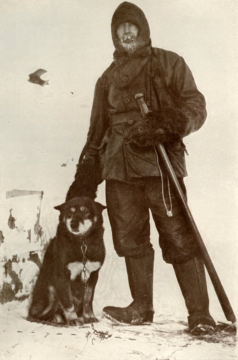 CH Meares i Osman, Przywódca psów, 28 sierpnia 1911, 1913 autorstwa Herbert Ponting