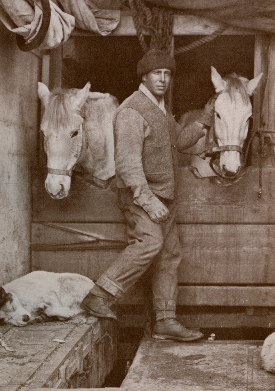 Kapitan Oates i kucyki na Terra Nova, c1910-1912, 1913. autorstwa Herbert Ponting