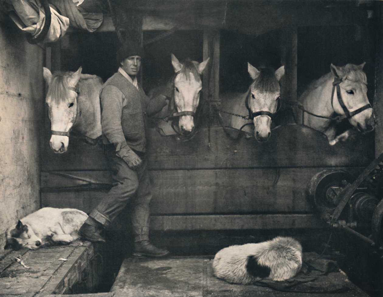 Kapitan Oates na Terra Nova z kucami syberyjskimi, c1911, 1914. autorstwa Herbert Ponting