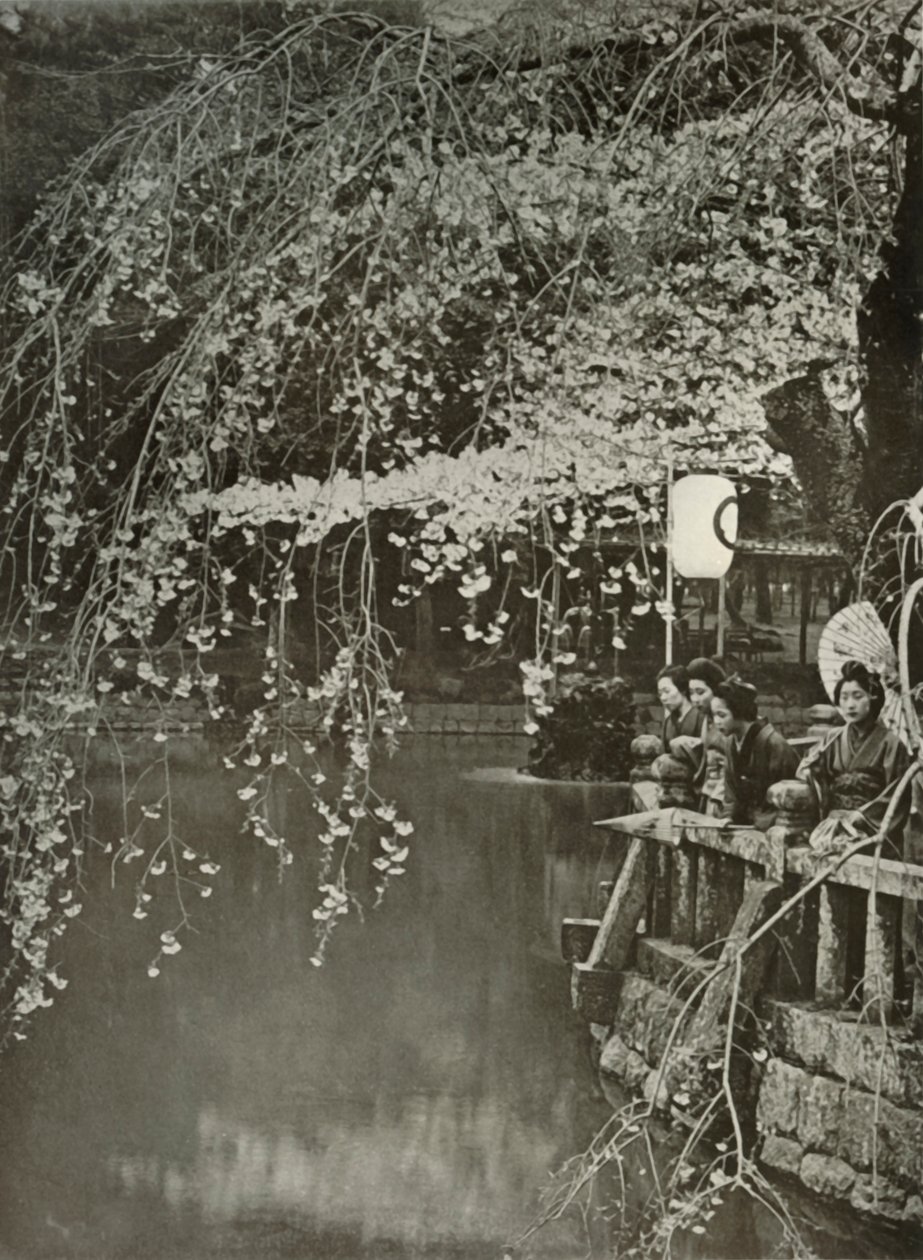 Czas kwitnienia wiśni w Japonii, 1910. autorstwa Herbert Ponting
