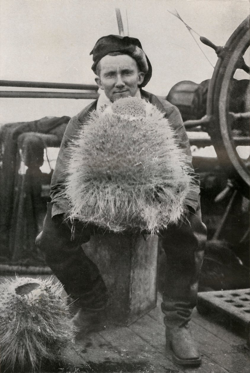 D.G. Lillie, z niektórymi gąbkami krzemionkowymi, c1911, 1913 autorstwa Herbert Ponting