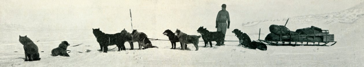Psy ze sklepami zaraz opuszczą Hut Point, c1911, 1913 autorstwa Herbert Ponting