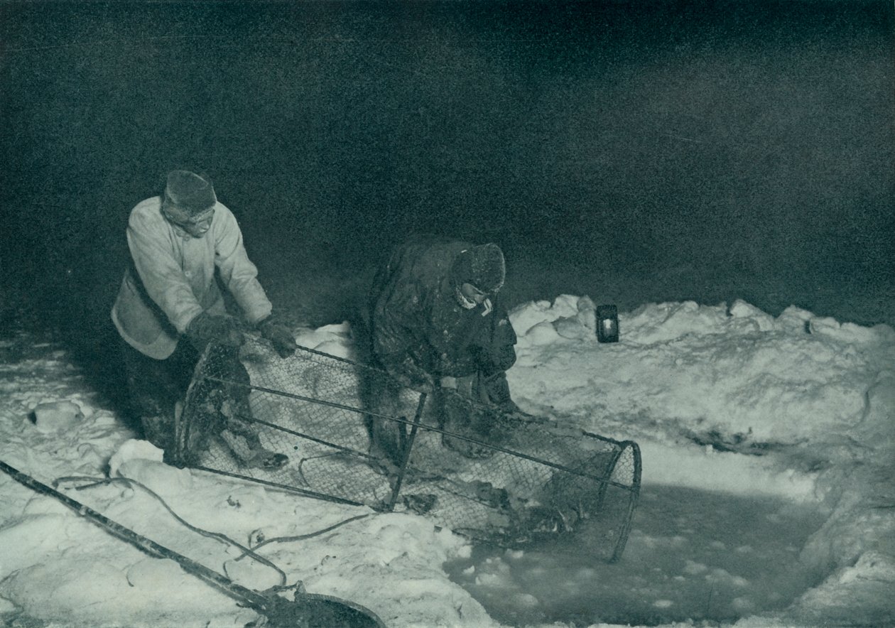 Dr Atkinson i Clissold wyciągają pułapkę na ryby, 28 maja 1911, 1913 autorstwa Herbert Ponting