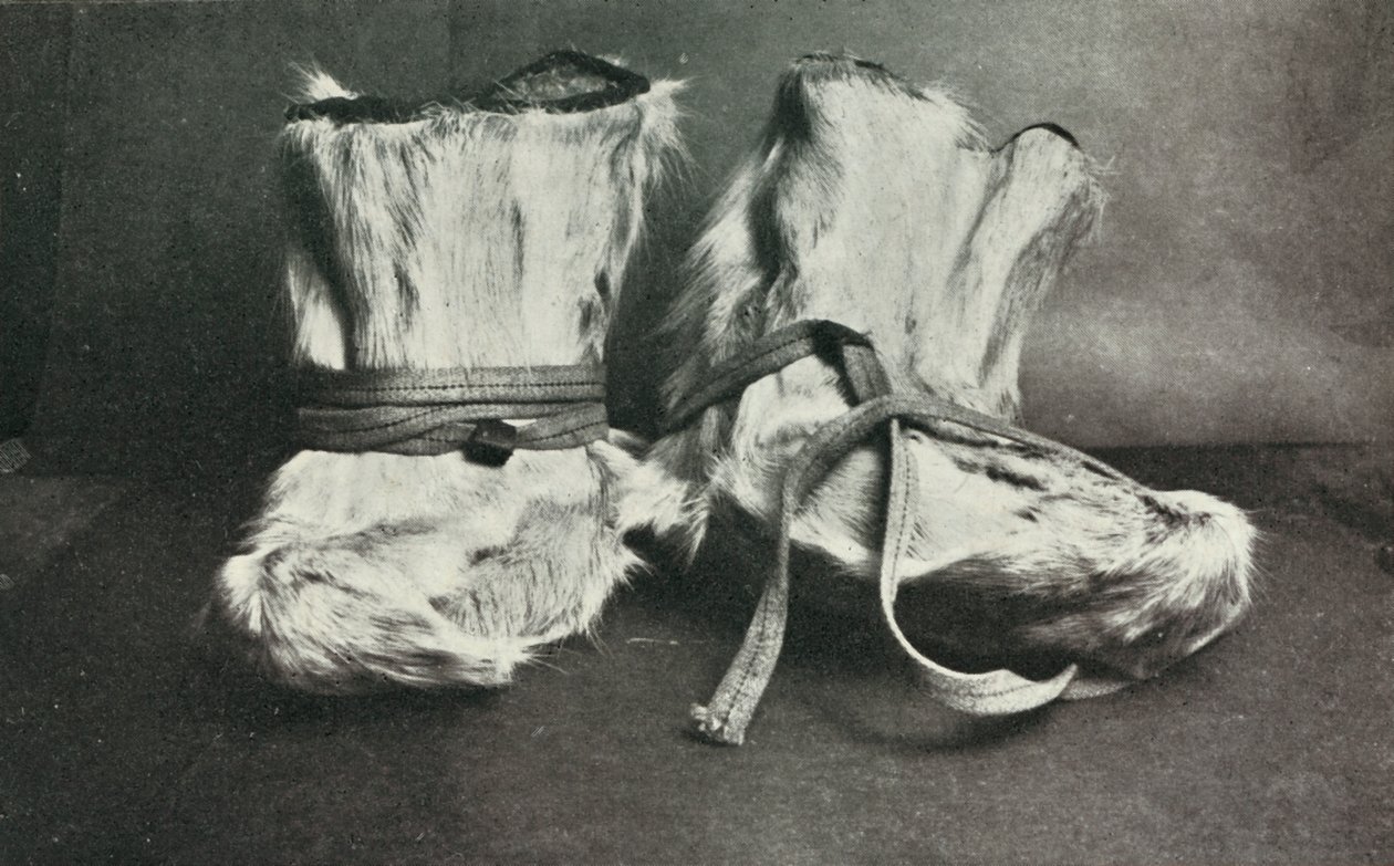 Finnesko, c19101913, 1913. autorstwa Herbert Ponting