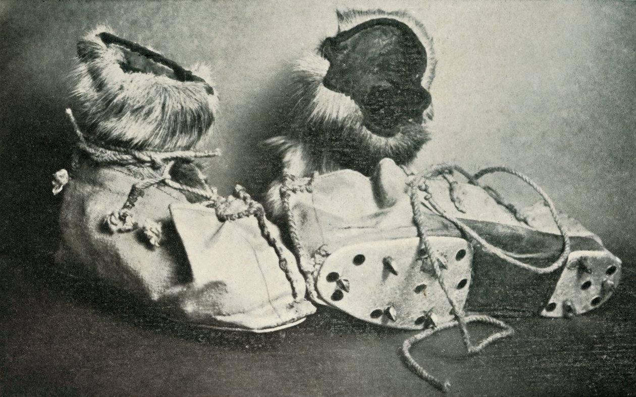 Finnesko z Rakami, c19101913, 1913 autorstwa Herbert Ponting