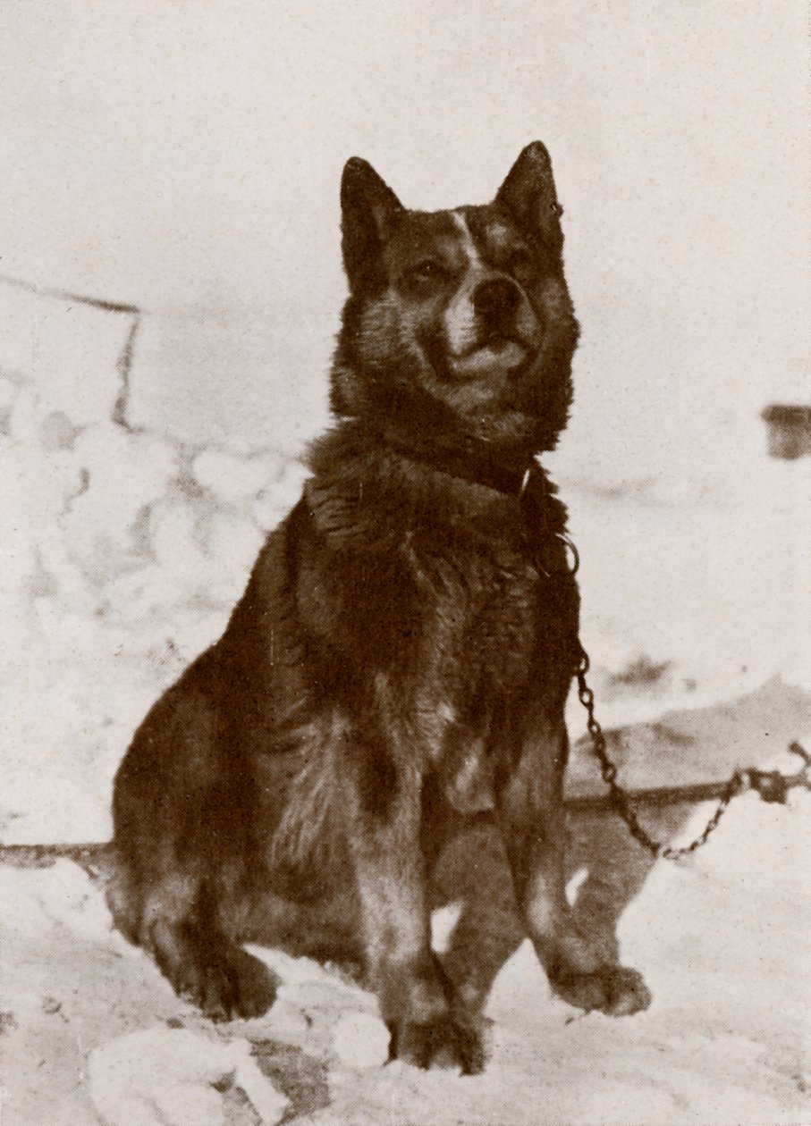 Krisravica, 19101913, 1913 autorstwa Herbert Ponting