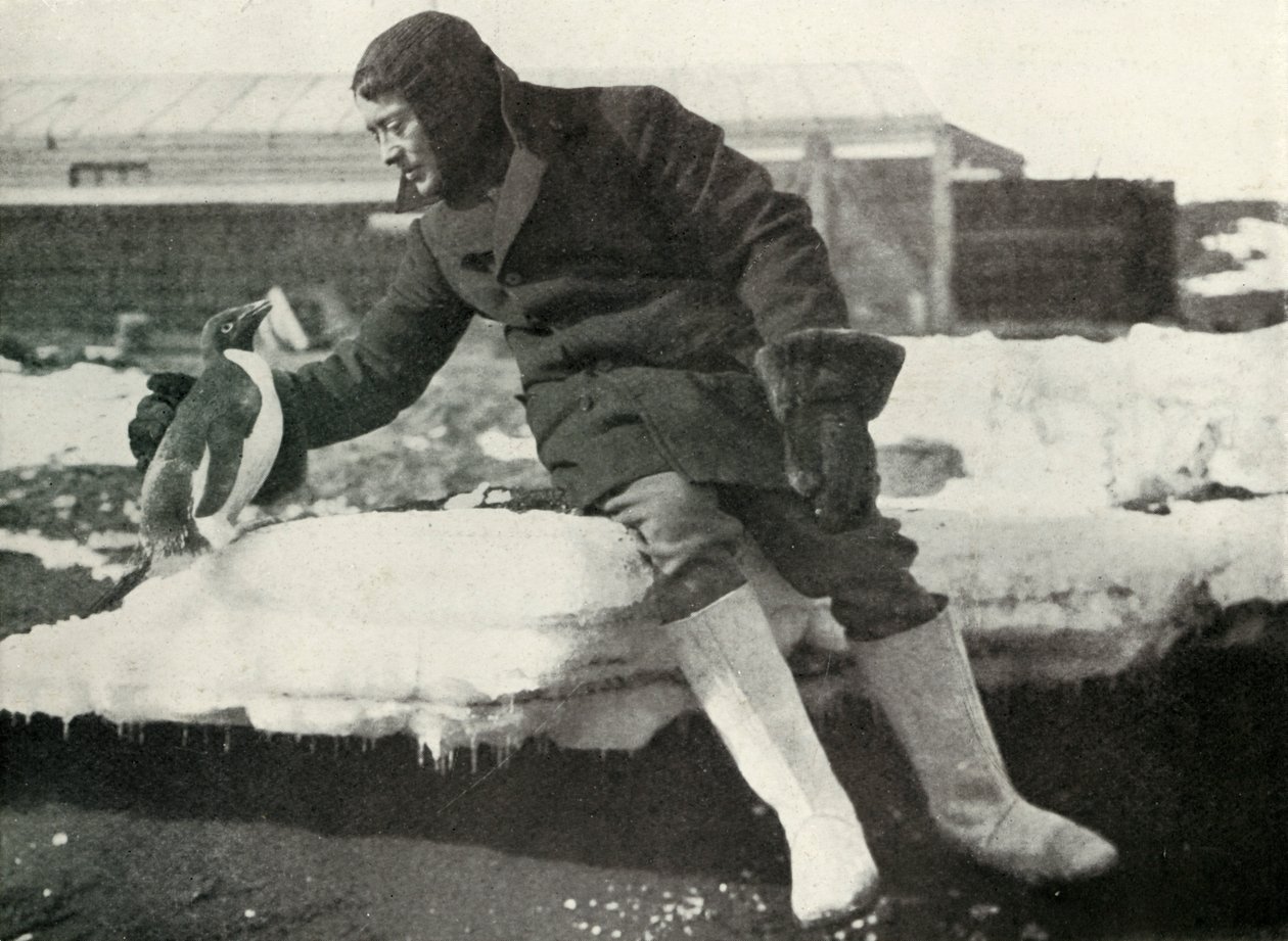 porucznik. Rennick i przyjazny pingwin, 1911, 1913 autorstwa Herbert Ponting