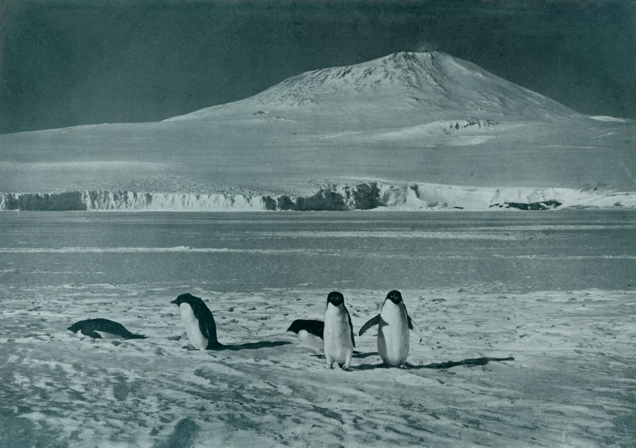 Góra Erebus, c1911, 1913 autorstwa Herbert Ponting