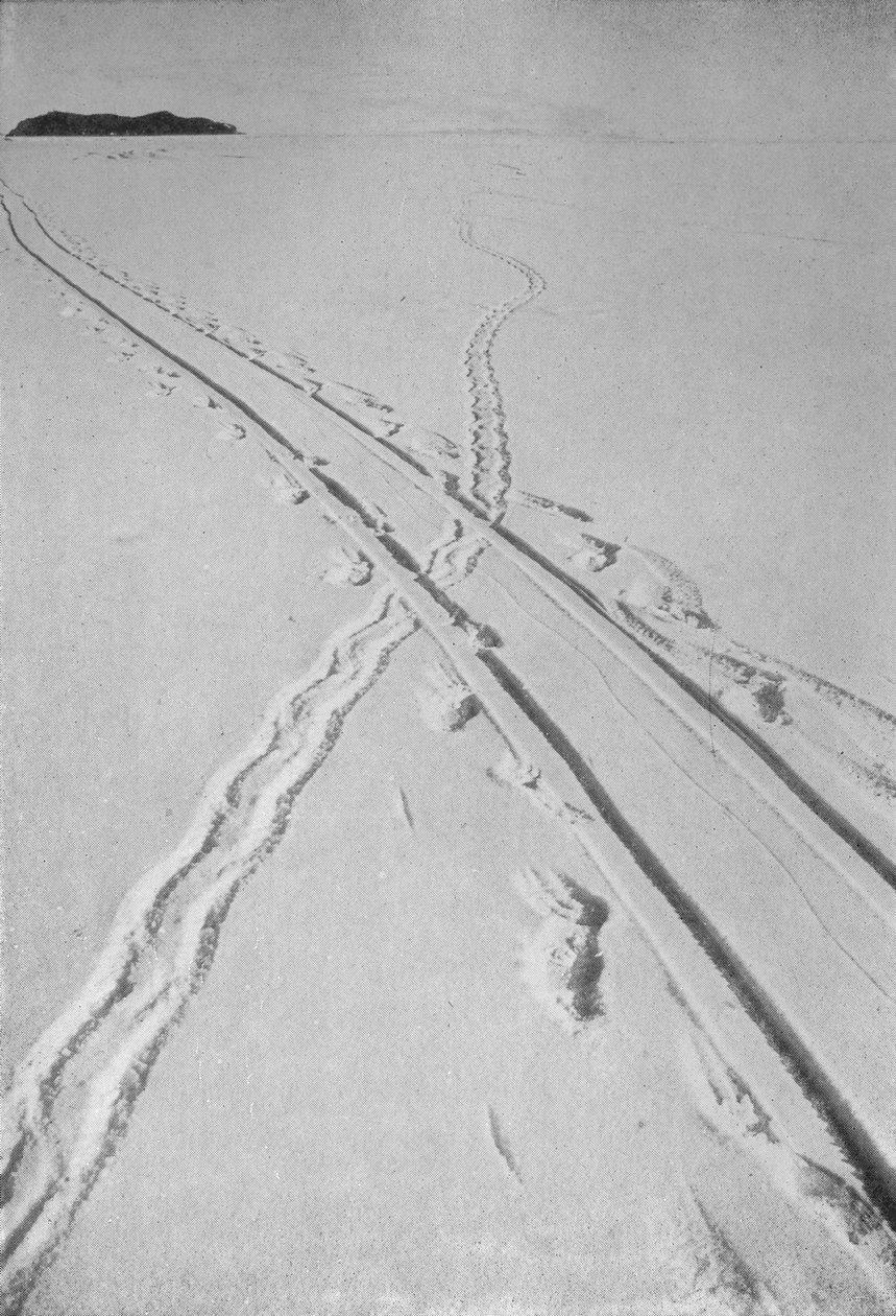 Tor saneczkowy Przejście przez tor pingwinów Adélie, 8 grudnia 1911, 1913 autorstwa Herbert Ponting