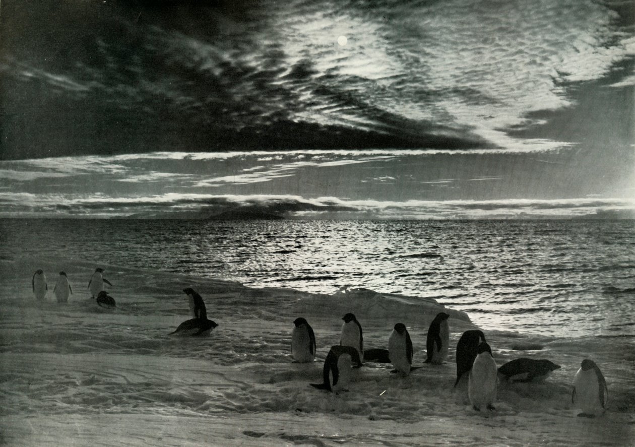 Północne słońce w McMurdo Sound, c19101913, 1913 autorstwa Herbert Ponting