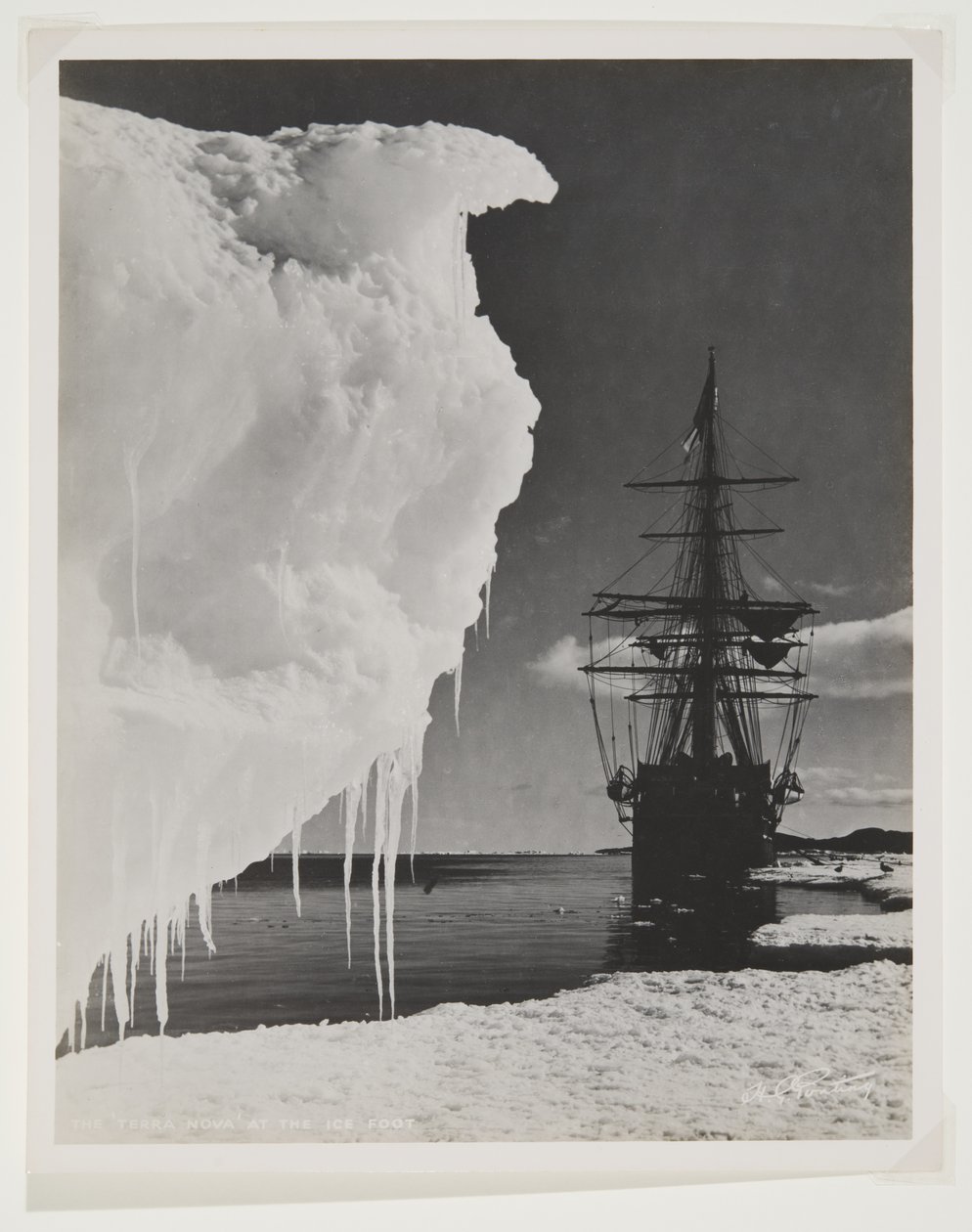 Terra Nova at the Ice Foot (druk bromowy) autorstwa Herbert Ponting