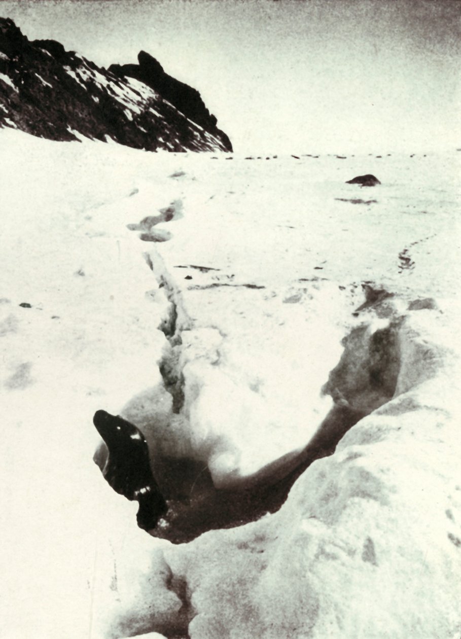 Pęknięcie przypływu na wyspie Razorback, 1911, 1913 autorstwa Herbert Ponting