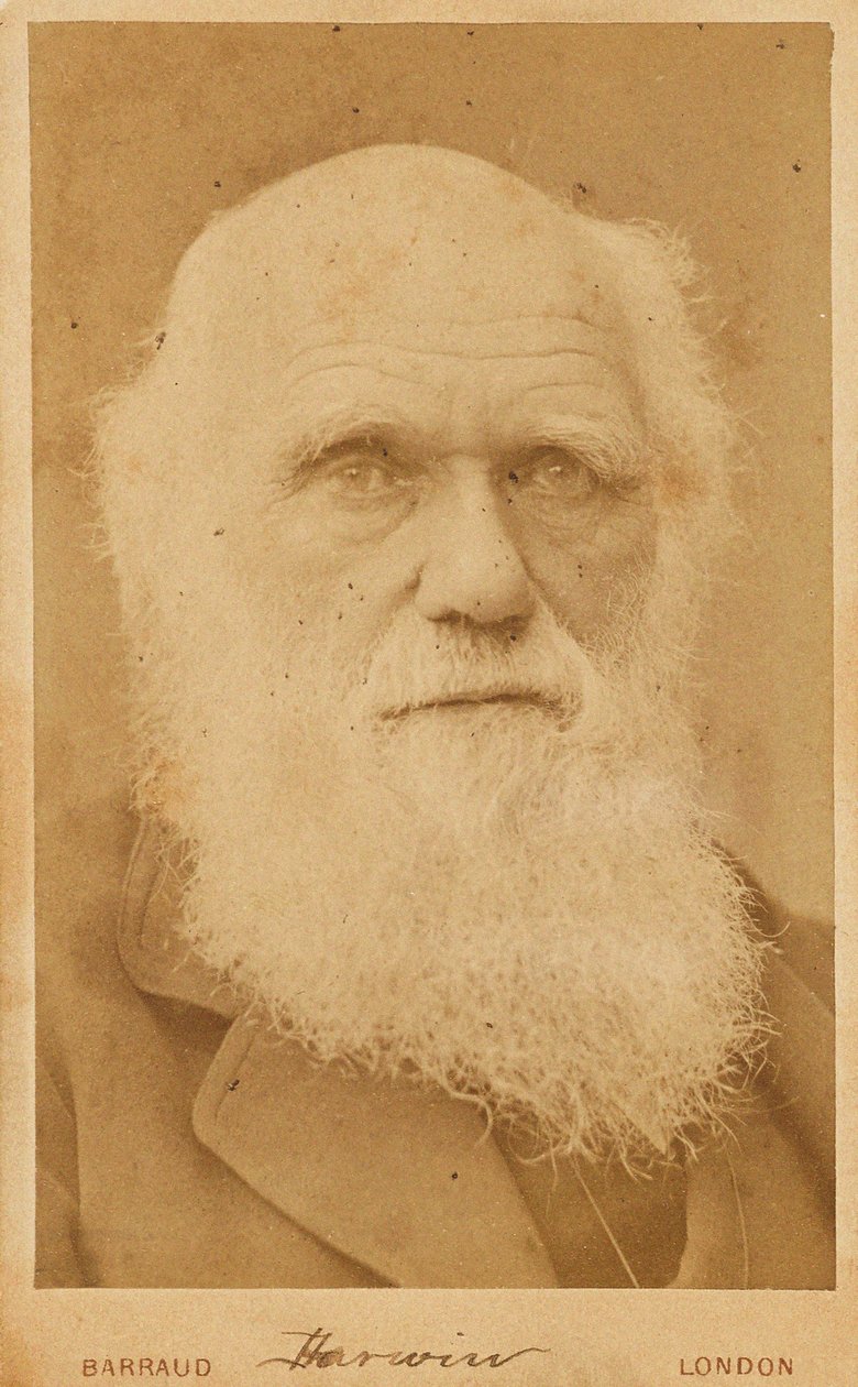 Portret Karola Darwina 1809-1882, 1881. autorstwa Herbert Rose Barraud