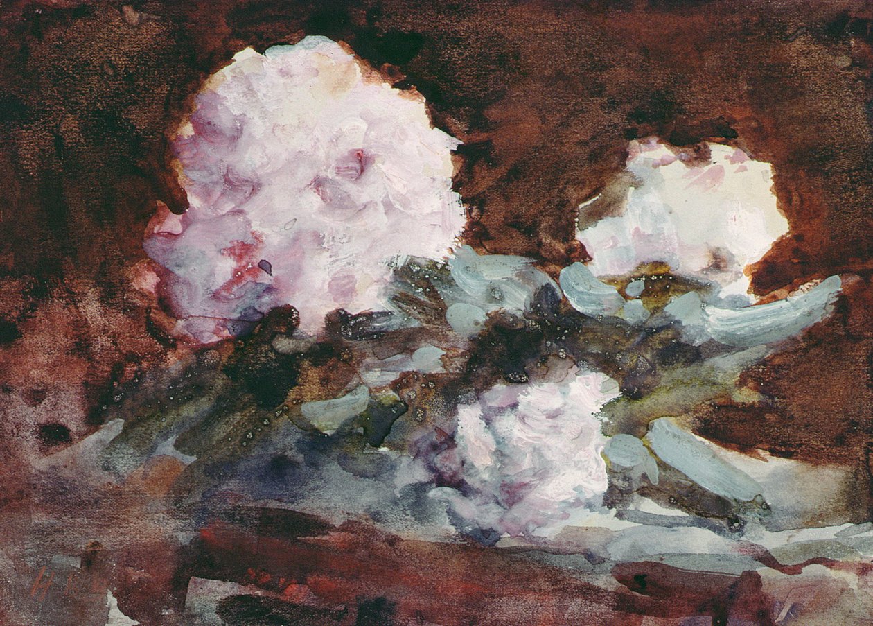 Rododendrony (akwarela) autorstwa Hercules Brabazon Brabazon