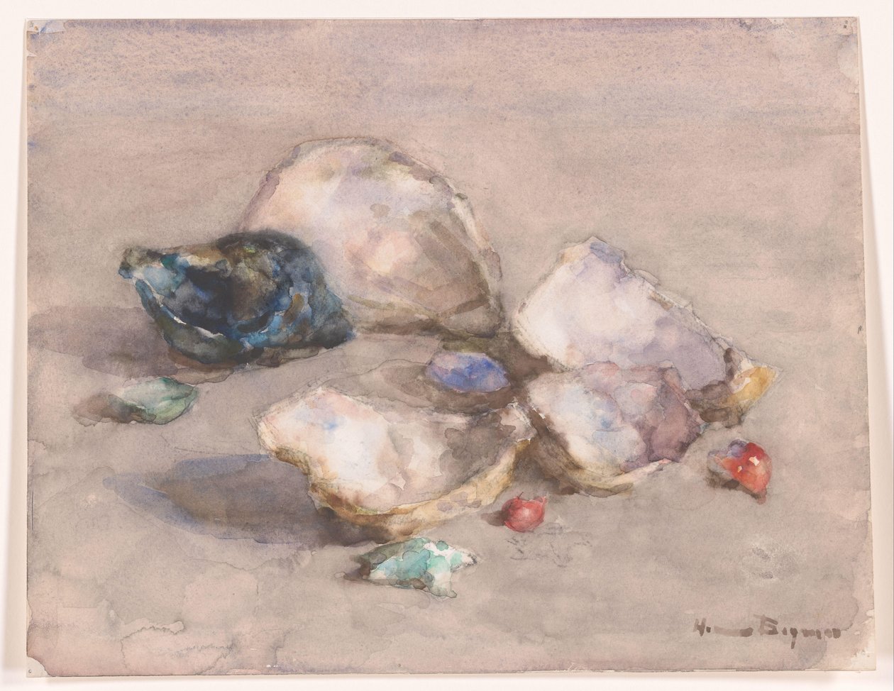 Muszle na plaży autorstwa Herman Bogman (signed by artist)