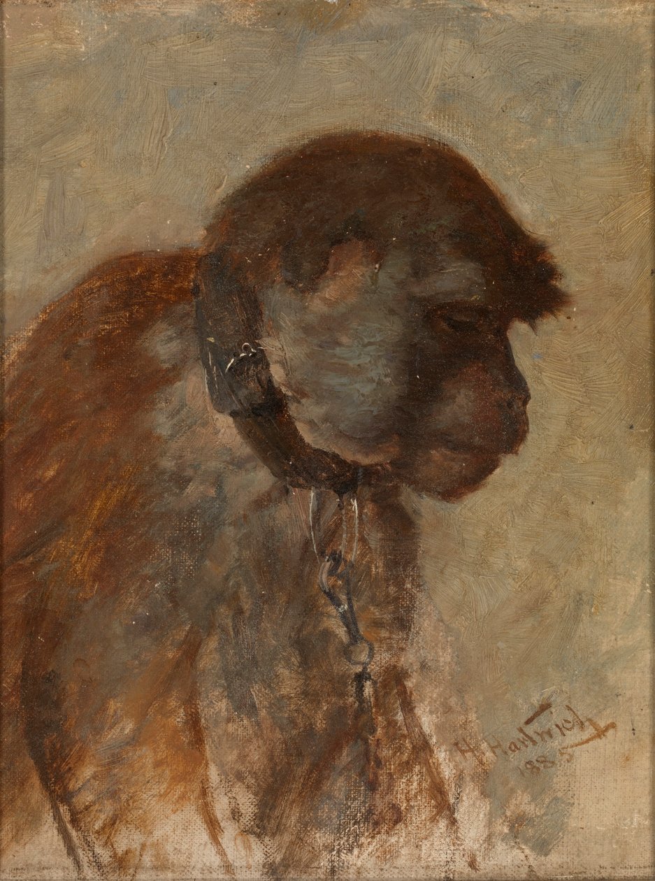 Medytacja autorstwa Herman Hartwich