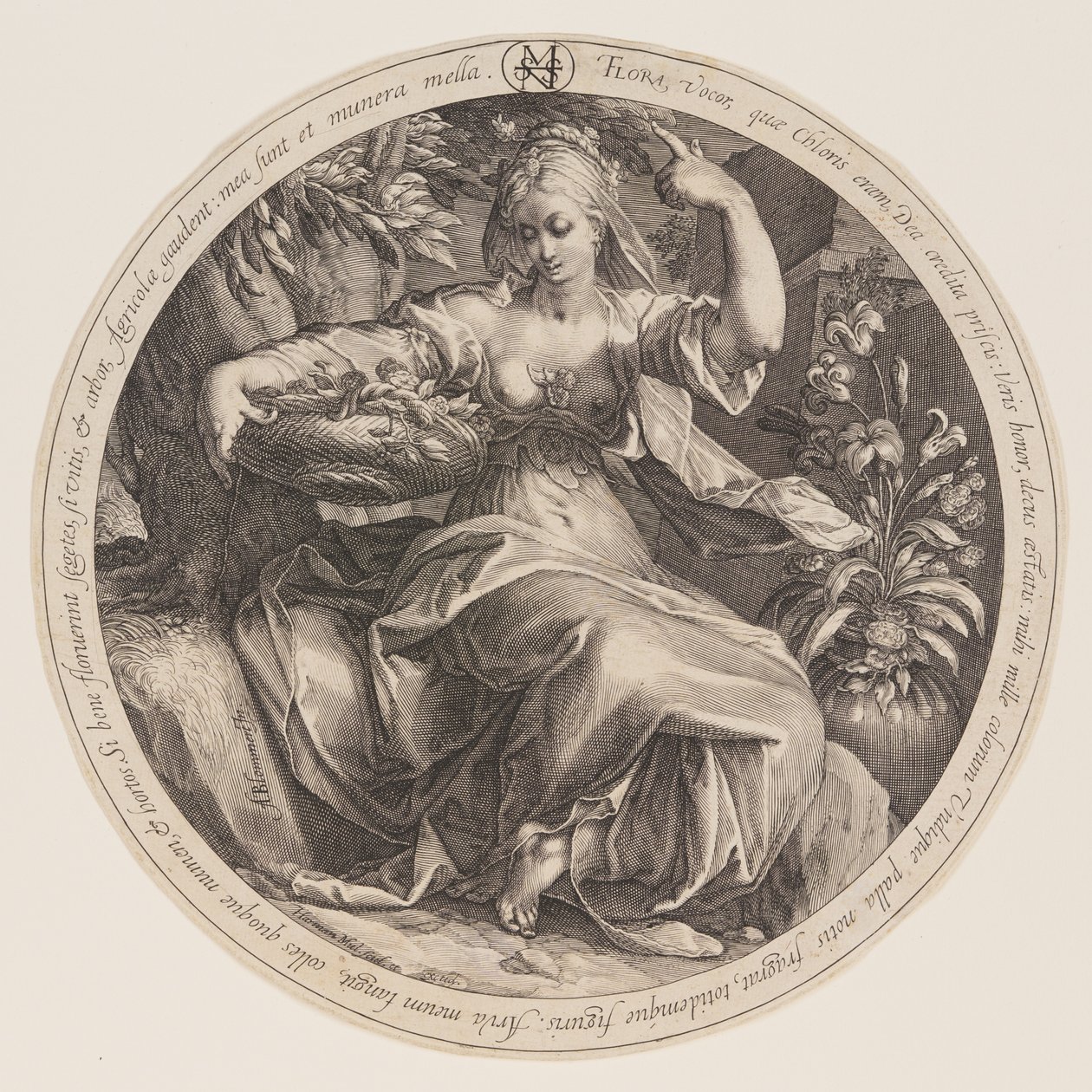 Flora autorstwa Herman Jansz. Muller