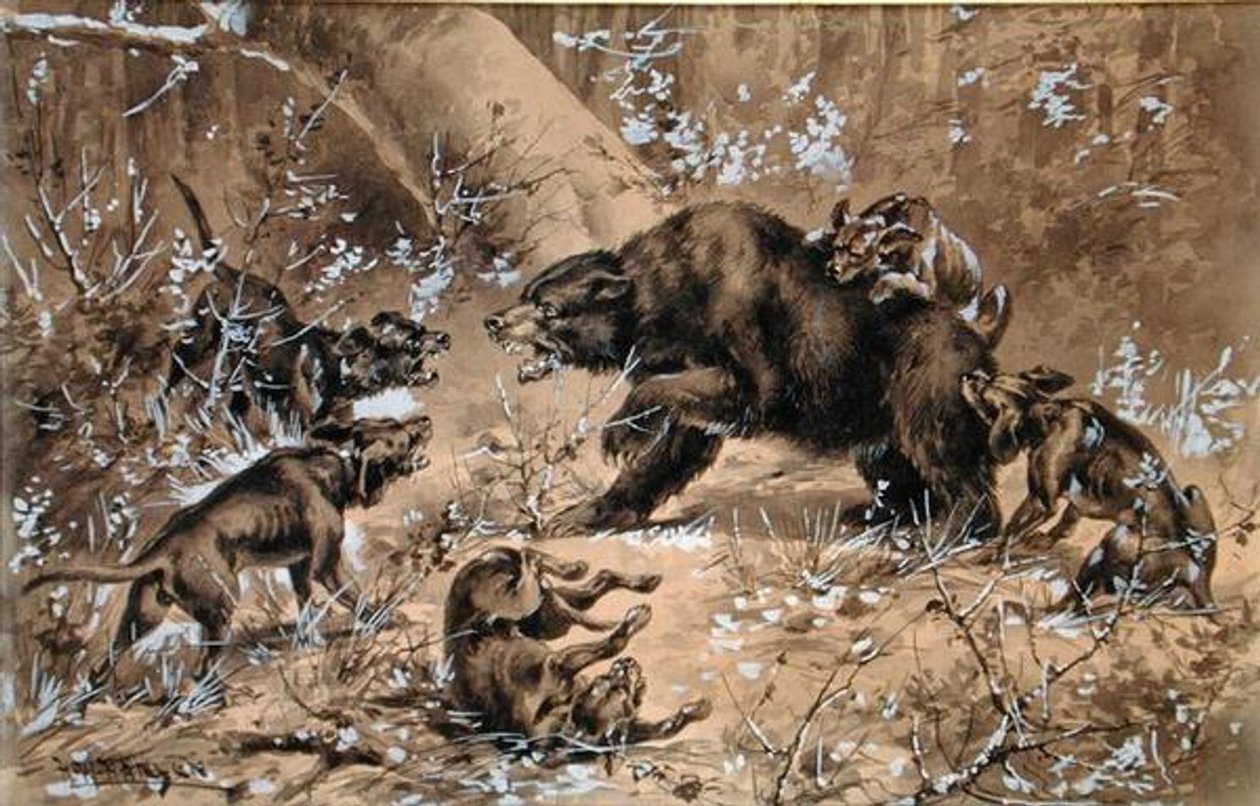 Bear Hunt (akwarela i chińska biel na papierze) autorstwa Herman Wendleborg Hansen
