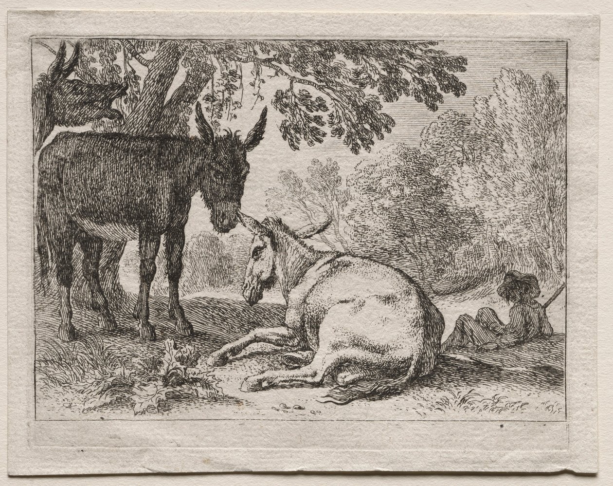 Osły. autorstwa Herman van Swanevelt