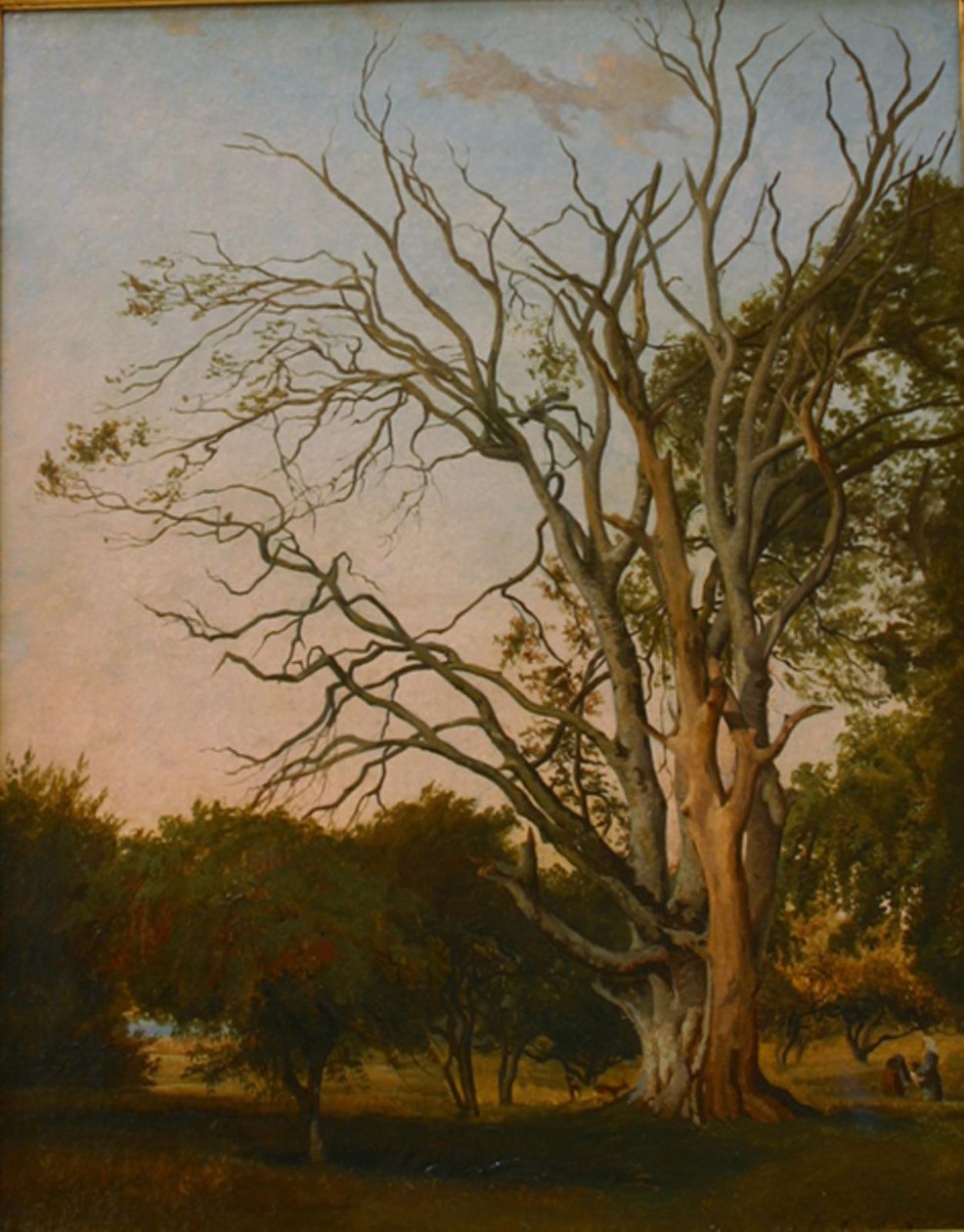 Scena leśna z martwym drzewem autorstwa Hermann Carmiencke