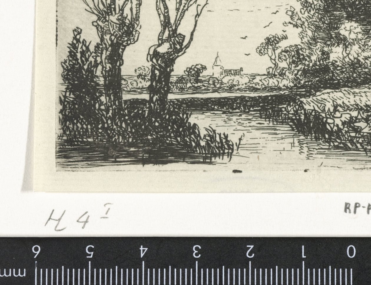 Krajobraz z dwiema wierzbami głuchymi autorstwa Hermanus Jan Hendrik van Rijkelijkhuysen