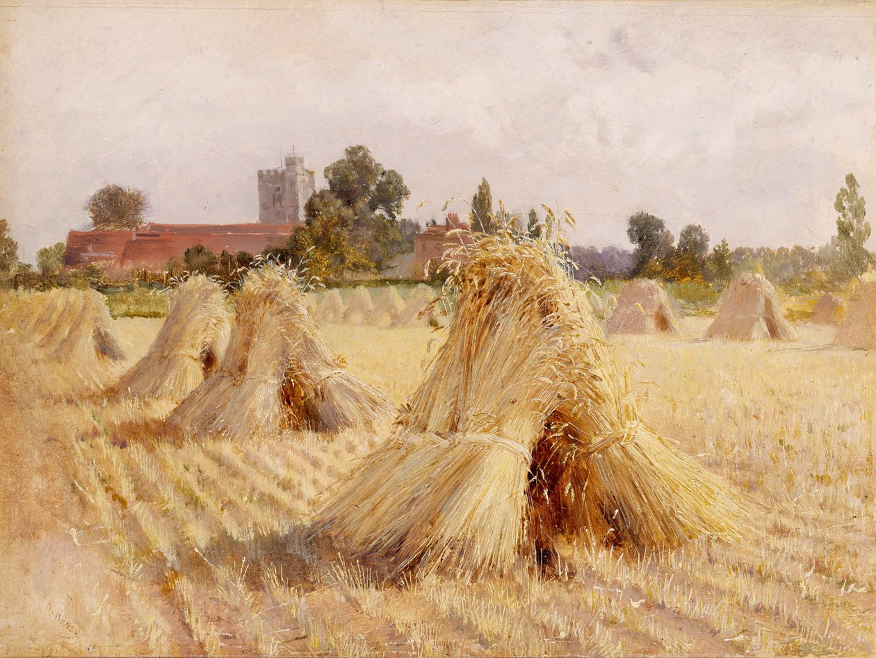 Stogi kukurydzy przy kościele w Bray, 1872 (olej na papierze położony na desce) autorstwa Heywood Hardy