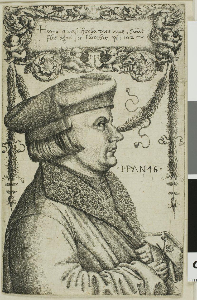 Portret mężczyzny autorstwa Hieronymous Hopfer
