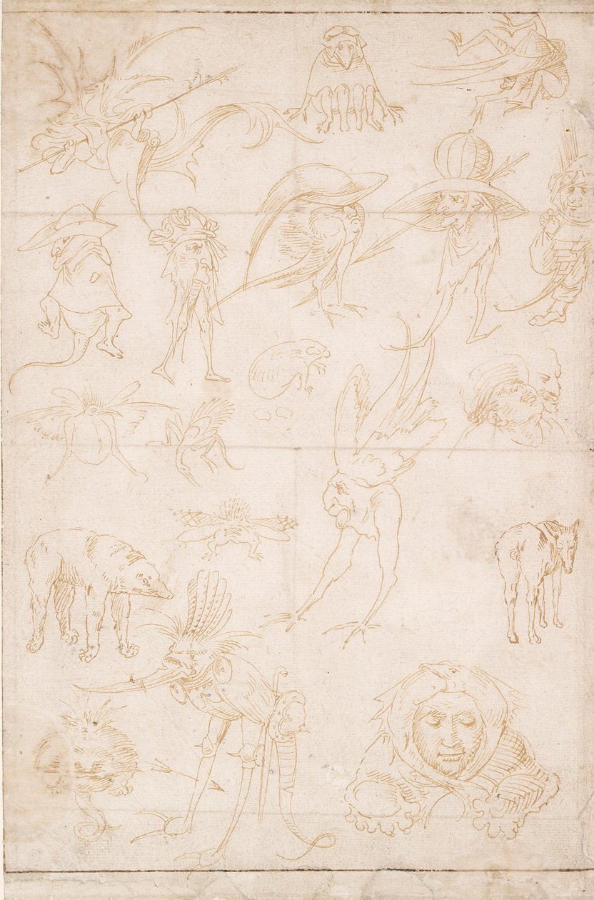 Studia groteskowe, ok. 1500-1520 autorstwa Hieronymus Bosch