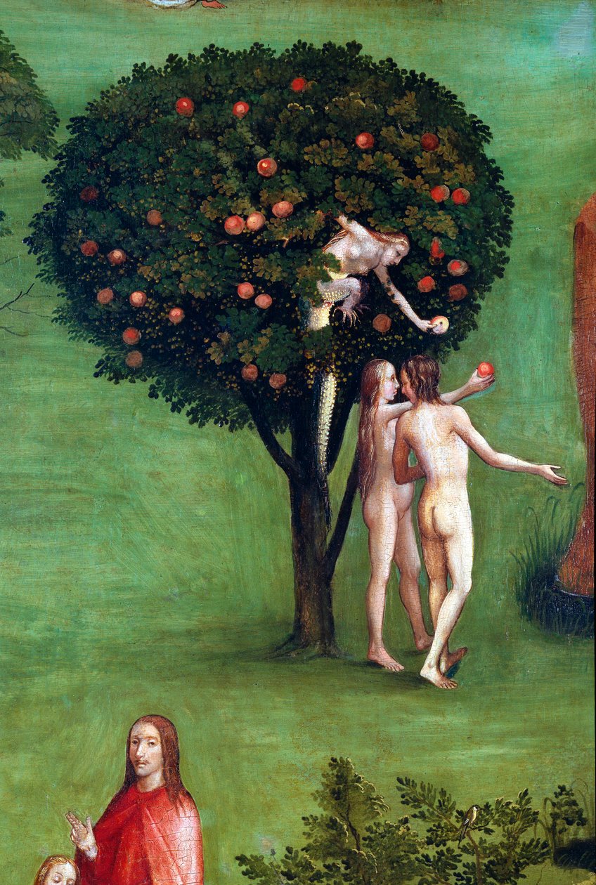 Tryptyk Sądu Ostatecznego, lewy panel. Adam i Ewa w raju, detal (malarstwo na drewnie, ok.1504) autorstwa Hieronymus Bosch