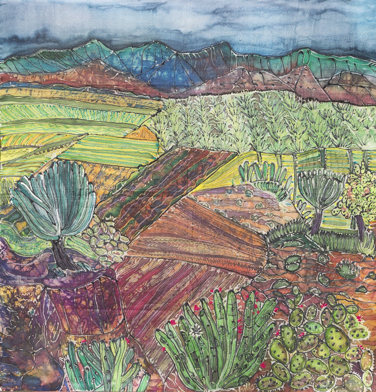 Krajobraz Oaxaca autorstwa Hilary Simon