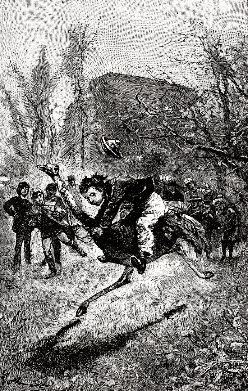 Młoda Służba jedzie na strusiu. Rytownictwo autorstwa Hippolyte Leon Benett