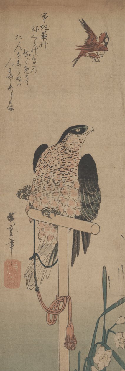 Sokół na Okoń, Wróbel i Narcyz autorstwa Hirokage Utagawa