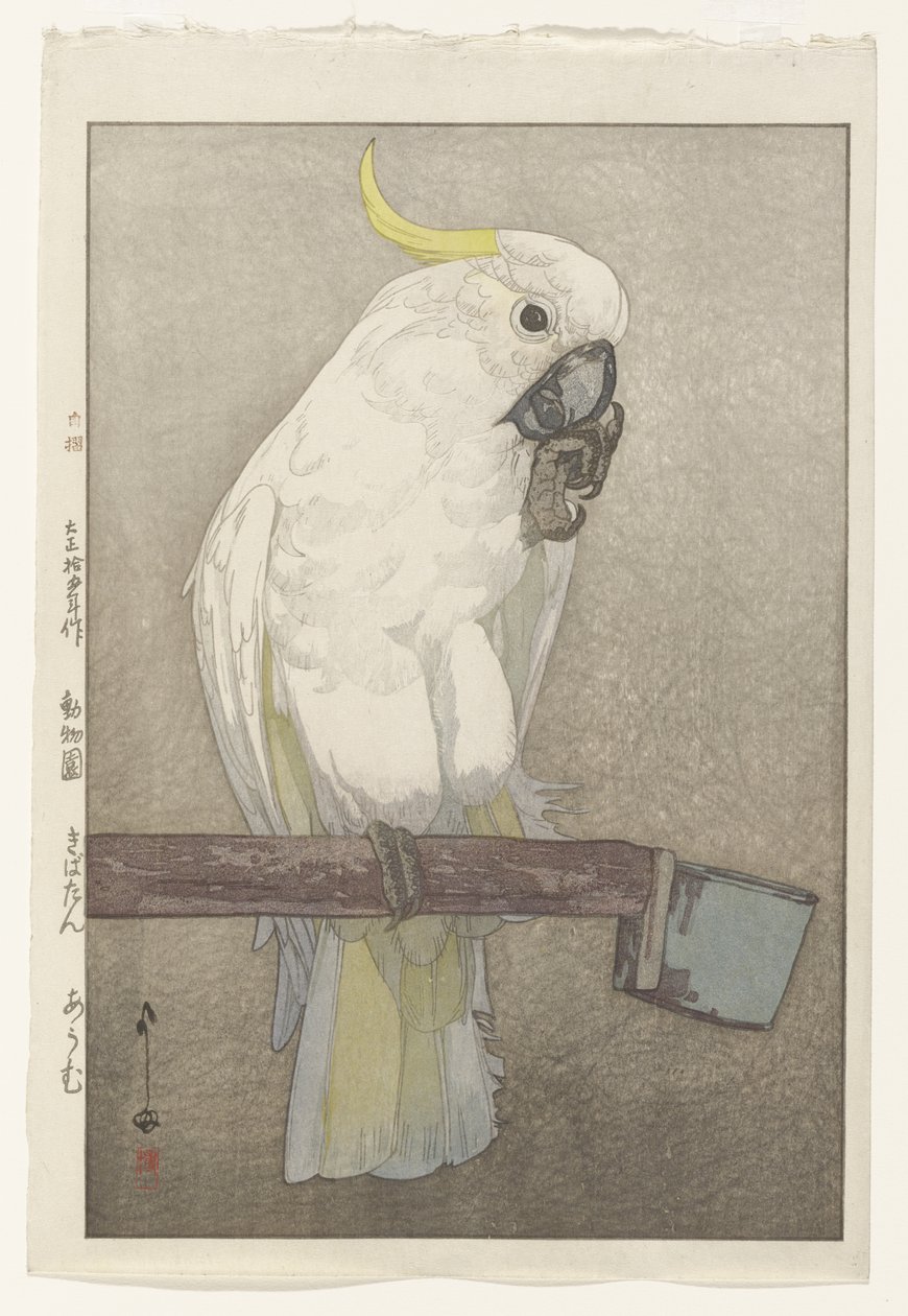 Kakadu żółtoczuba autorstwa Hiroshi Yoshida