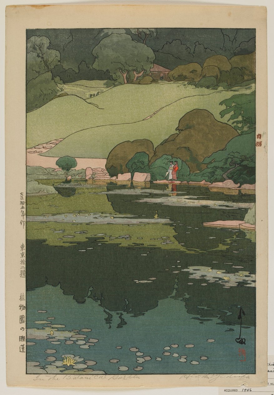 Lilie wodne w ogrodzie botanicznym, z serii Dwanaście scen Tokio, epoka Taisho autorstwa Hiroshi Yoshida
