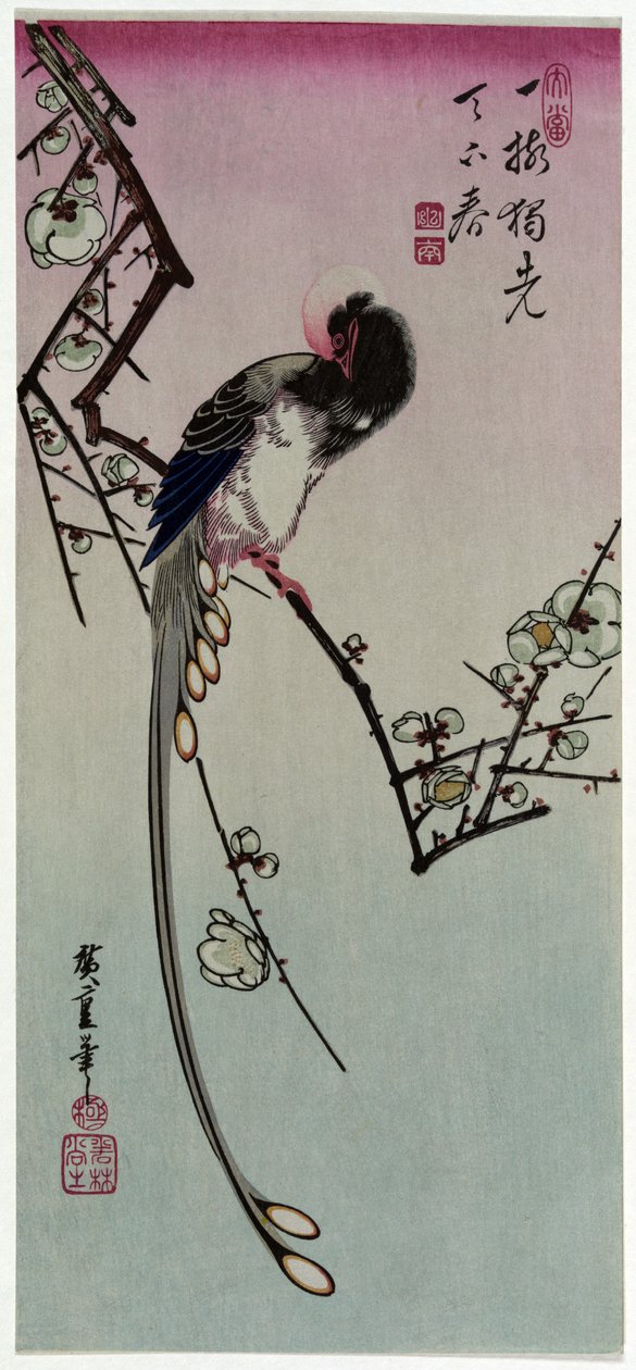 Śliwkowy i długoogoniasty ptak autorstwa Utagawa Hiroshige