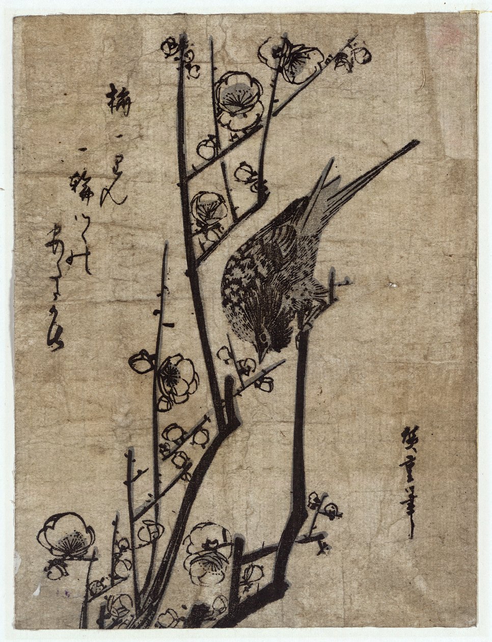 Ume ni Uguisu (Kwiat śliwki i pokrzewka) autorstwa Utagawa Hiroshige