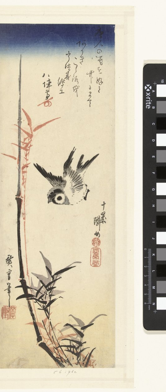 Bambus i Mus autorstwa Hiroshige (I) , Utagawa