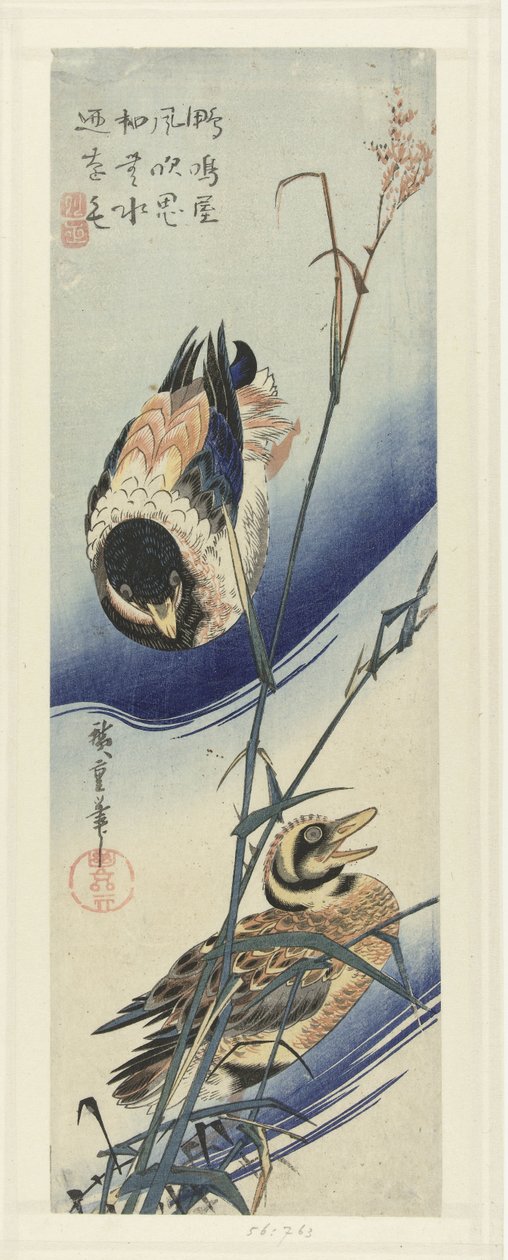 Kaczki w pobliżu trzcin autorstwa Hiroshige (I) , Utagawa
