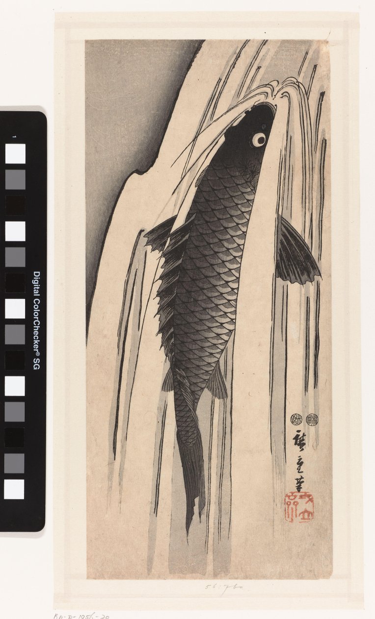 Karp pływający pod wodospadem autorstwa Hiroshige (I) , Utagawa