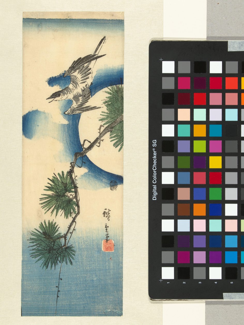 Kukułka na gałęzi sosny i pełni księżyca autorstwa Hiroshige (I) , Utagawa