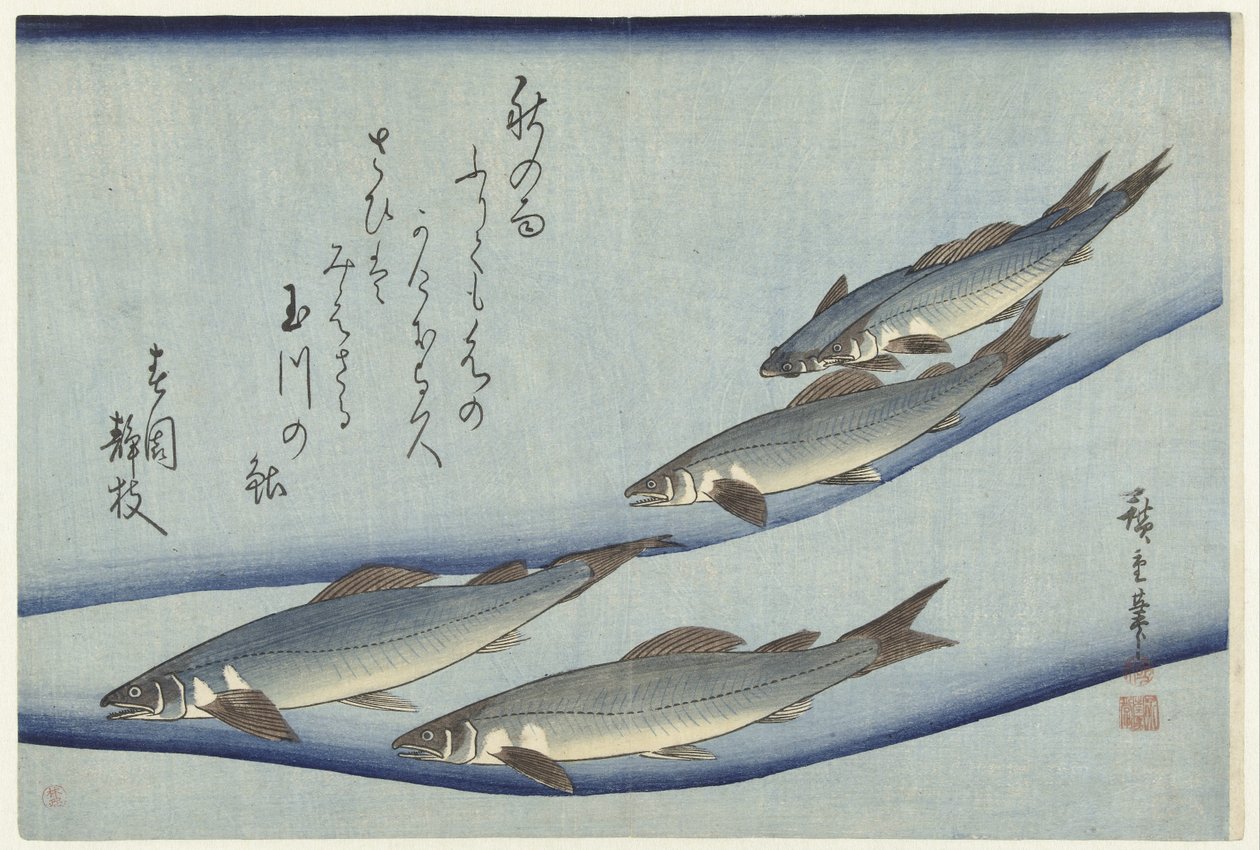 Pstrąg autorstwa Hiroshige (I) , Utagawa