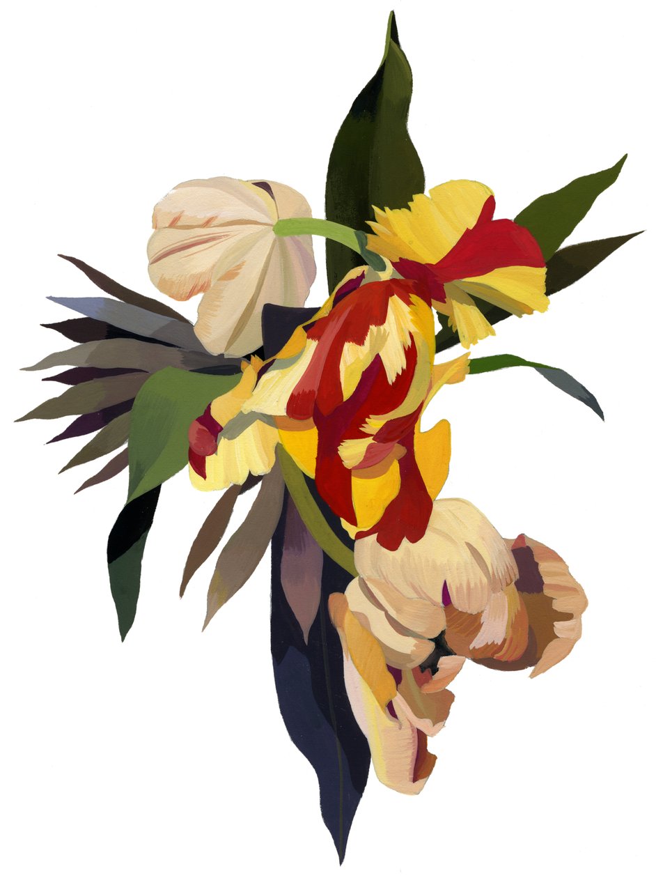 Papuga tulipanowa 3 autorstwa Hiroyuki Izutsu