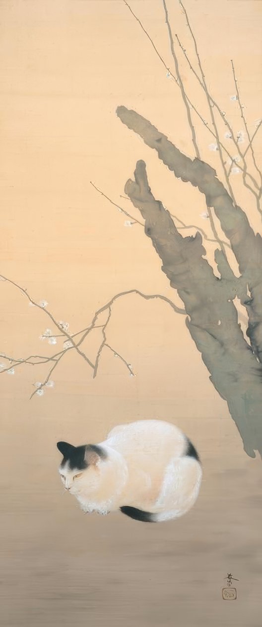 Hishida Shunso, kwiaty kota i śliwki autorstwa Hishida shunso