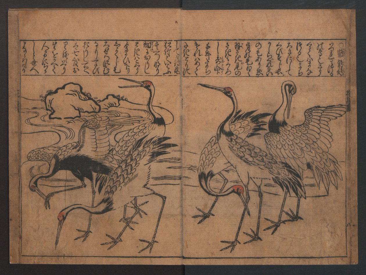 Illustrationen von Vögeln und Blumen (Kachō e-zukushi) autorstwa Hishikawa Moronobu