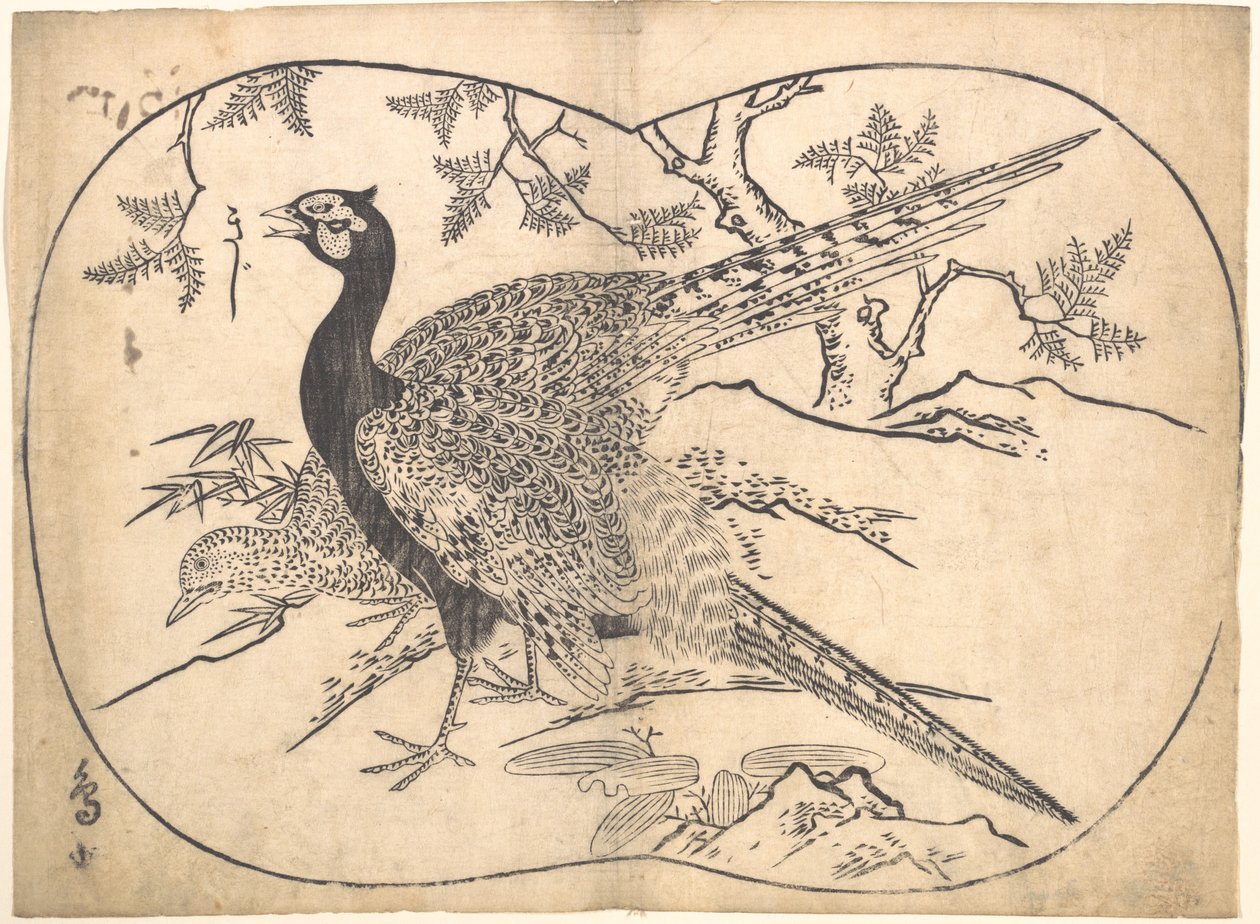 Bażanty autorstwa Hishikawa Moronobu