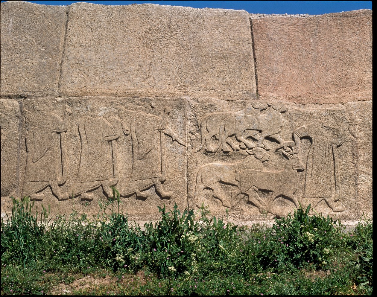 Widok podstawy płaskorzeźb Bramy Sfinksa autorstwa Hittite Hittite