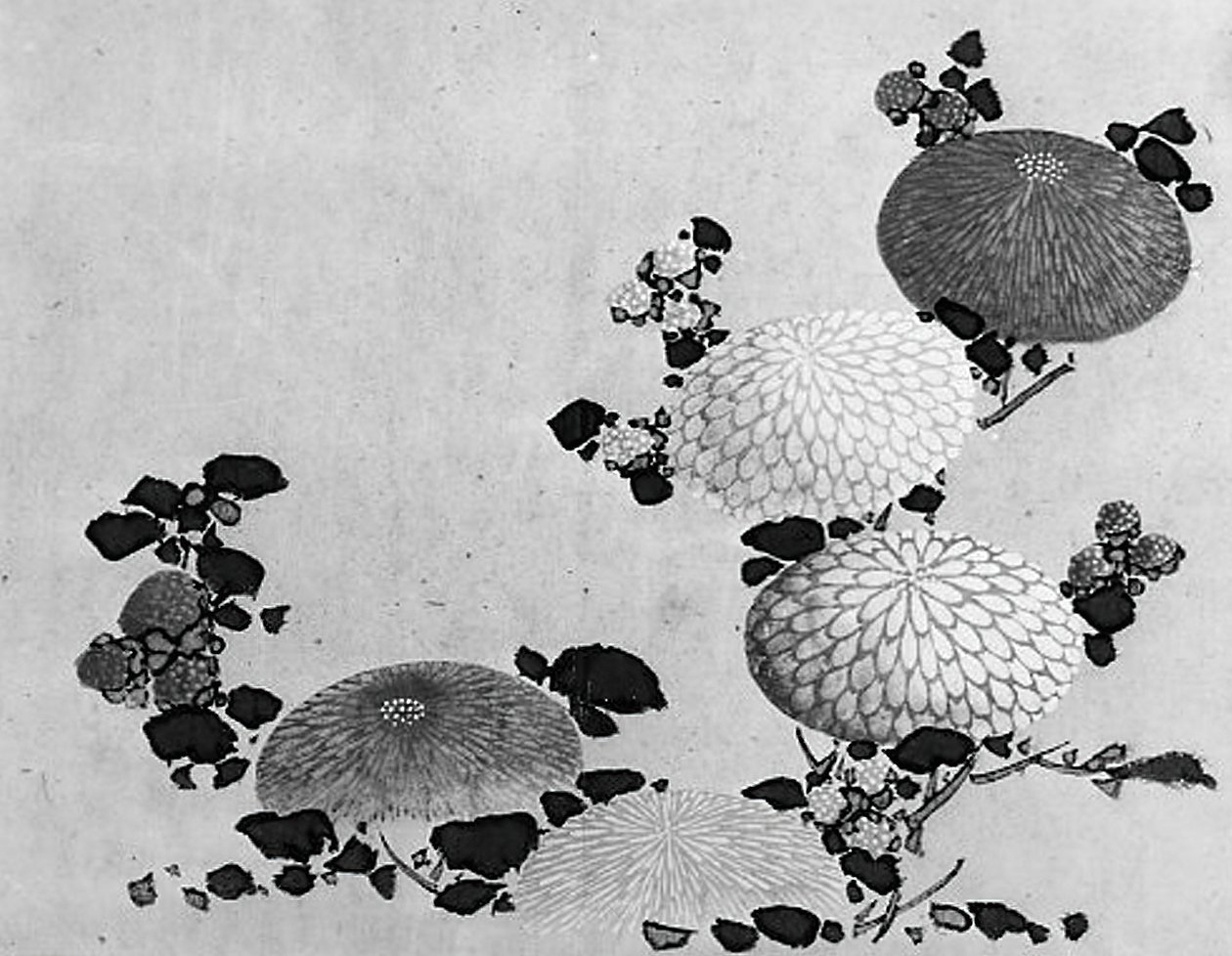 Chryzantemy, XIX wiek. autorstwa Hokusai School.