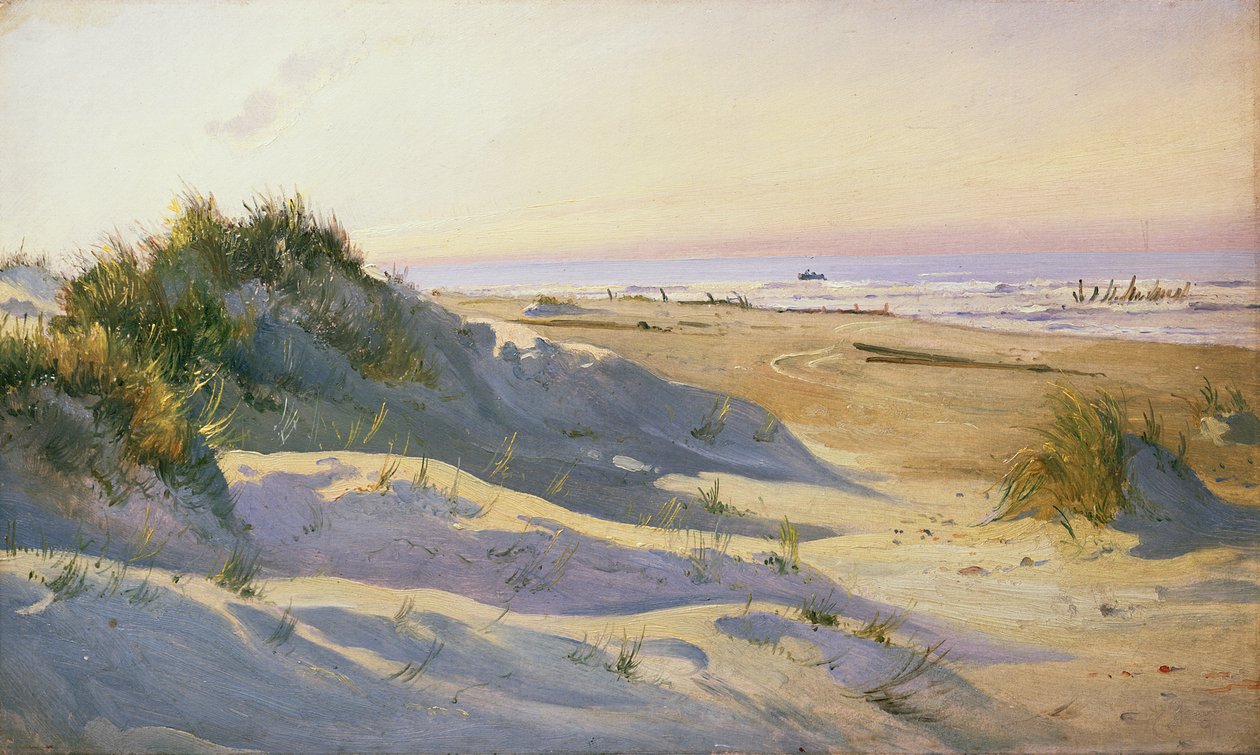 The Dunes, Sonderstrand, Skagen autorstwa Holgar Drachman