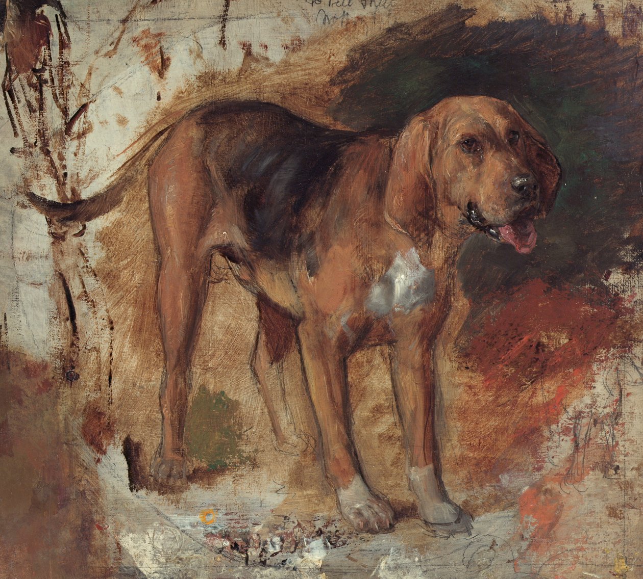 Badanie ogara autorstwa William Holman Hunt